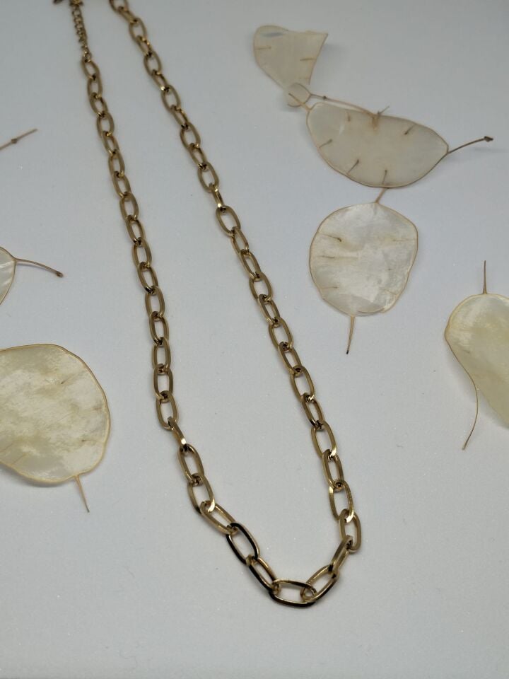 Çelik Ataç Zincir Gold Kolye